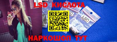 PSILOCYBIN Нальчик