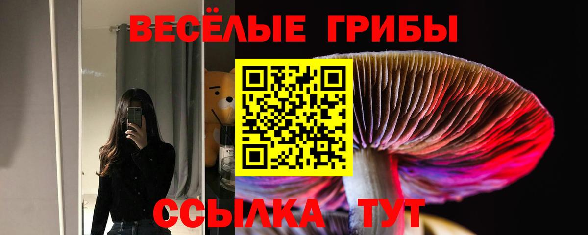 Галлюциногенные грибы ЛСД  Псилоцибиновые грибы Magic Shrooms  Старая Купавна  Вход с VPN 